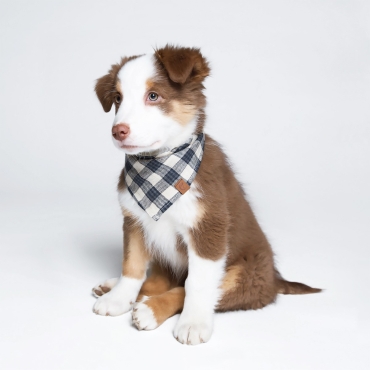 Bandana Cloud7 Check Vichy