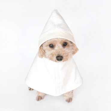 Peignoir pour chien