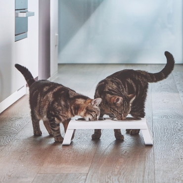 Cat feeder MiaCara Desco alu blanc