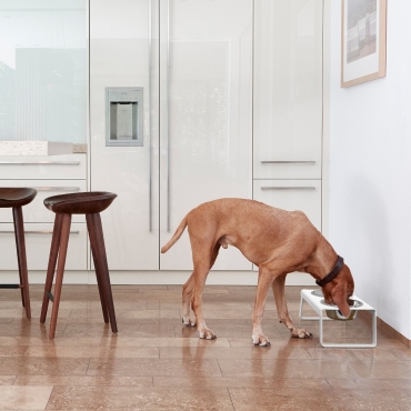 Dog feeder MiaCara Desco alu blanc