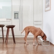 Dog feeder MiaCara Desco alu blanc