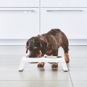 Dog feeder MiaCara Desco alu blanc