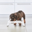 Dog feeder MiaCara Desco alu blanc