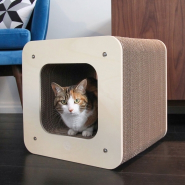 Griffoir Homycat Cube XL
