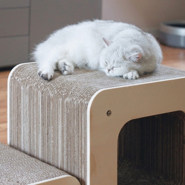 Griffoir Homycat Cube XL