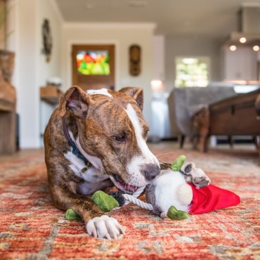 Peluche PLAY Ned le Lutin