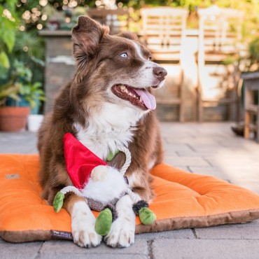 Peluche PLAY Ned le Lutin