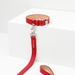 Laisse cuir Roch Lola Rouge