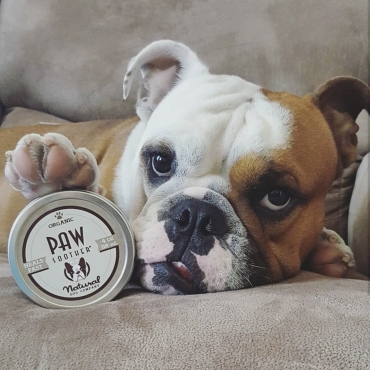 Natural Dog Company - Baume réparateur coussinets