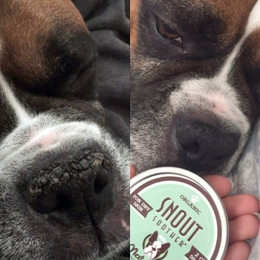 Natural Dog Company - Baume pour la truffe