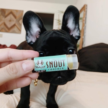 Natural Dog Company - Stick pour la truffe
