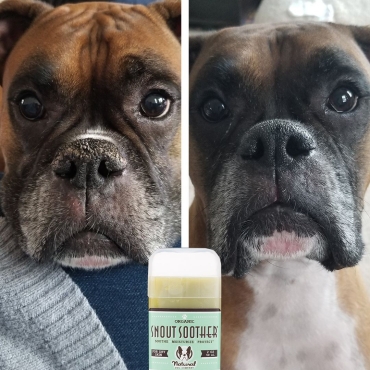 Natural Dog Company - Stick pour la truffe