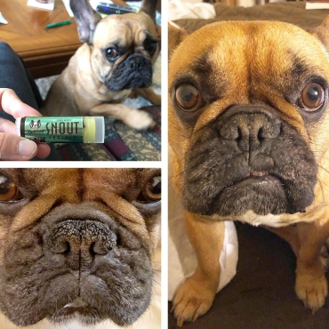 Natural Dog Company - Stick pour la truffe