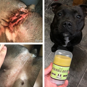 Natural Dog Company - Baume pour les plis cutanés