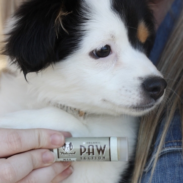 Natural Dog Company - Stick protecteur coussinets