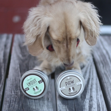 Natural Dog Company - Baume protecteur coussinets