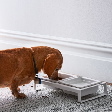 Modern Pet Bowl - Blanc