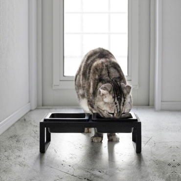 Modern Pet Bowl - Noir