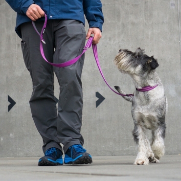 Collier Dog Copenhagen Urban Style Violet