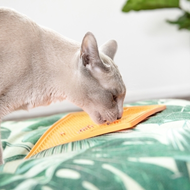 Lickimat Soother orange