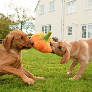 Peluche PLAY Pumpkin