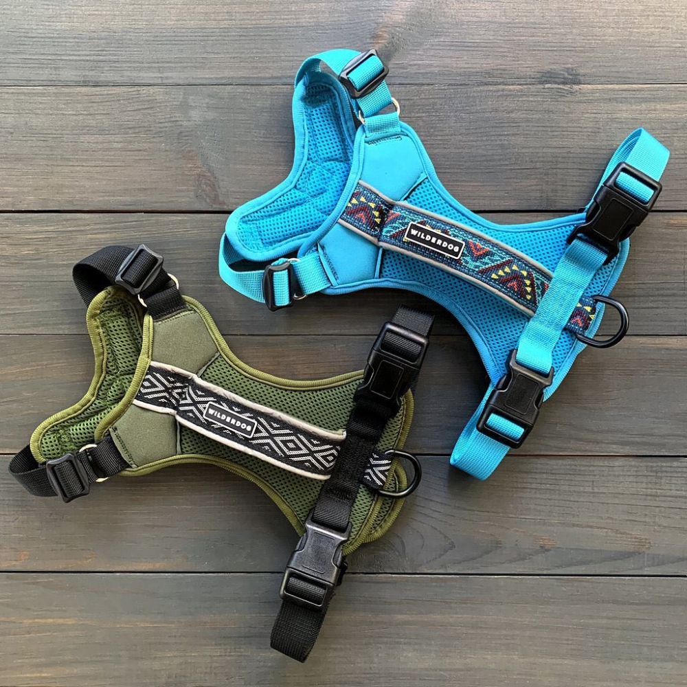 Harnais Wilderdog bleu azur Harnais Wilderdog bleu azur