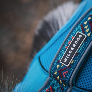Harnais Wilderdog bleu azur
