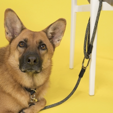 Laisse High5dogs Clic - Version Sport