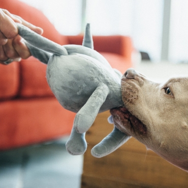 Peluche PLAY Aniballs Elephant