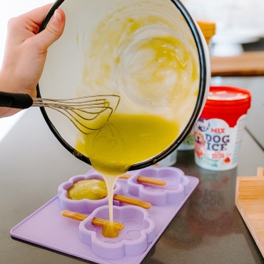 Moule à glaces SMOOFL - Taille L