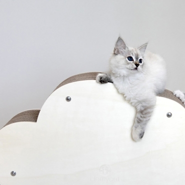 Griffoir Homycat Nuage