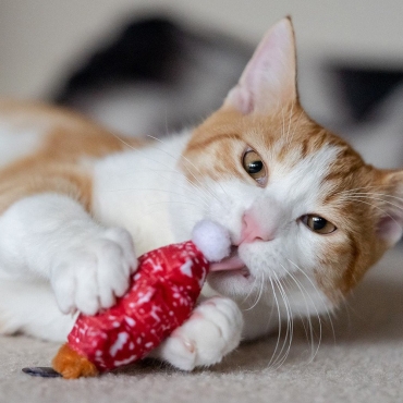 Peluches pour chat PLAY à la cataire – Meowy Christmas