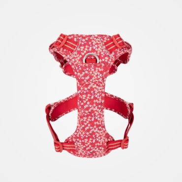 Harnais True Love Country « + » Edition spéciale Fleurs de Printemps