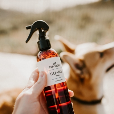 Spray répulsif naturel Fox and Hound