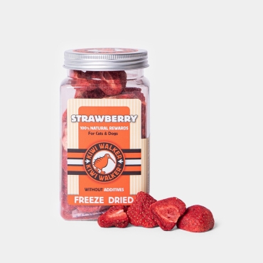 100% Fraises lyophilisées