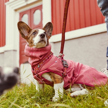 Harnais Hurtta Razzle-Dazzle Rose