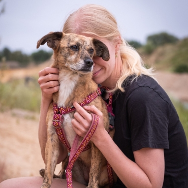 Harnais Hurtta Razzle-Dazzle Rose