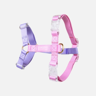 Harnais Furlou - Unicorn