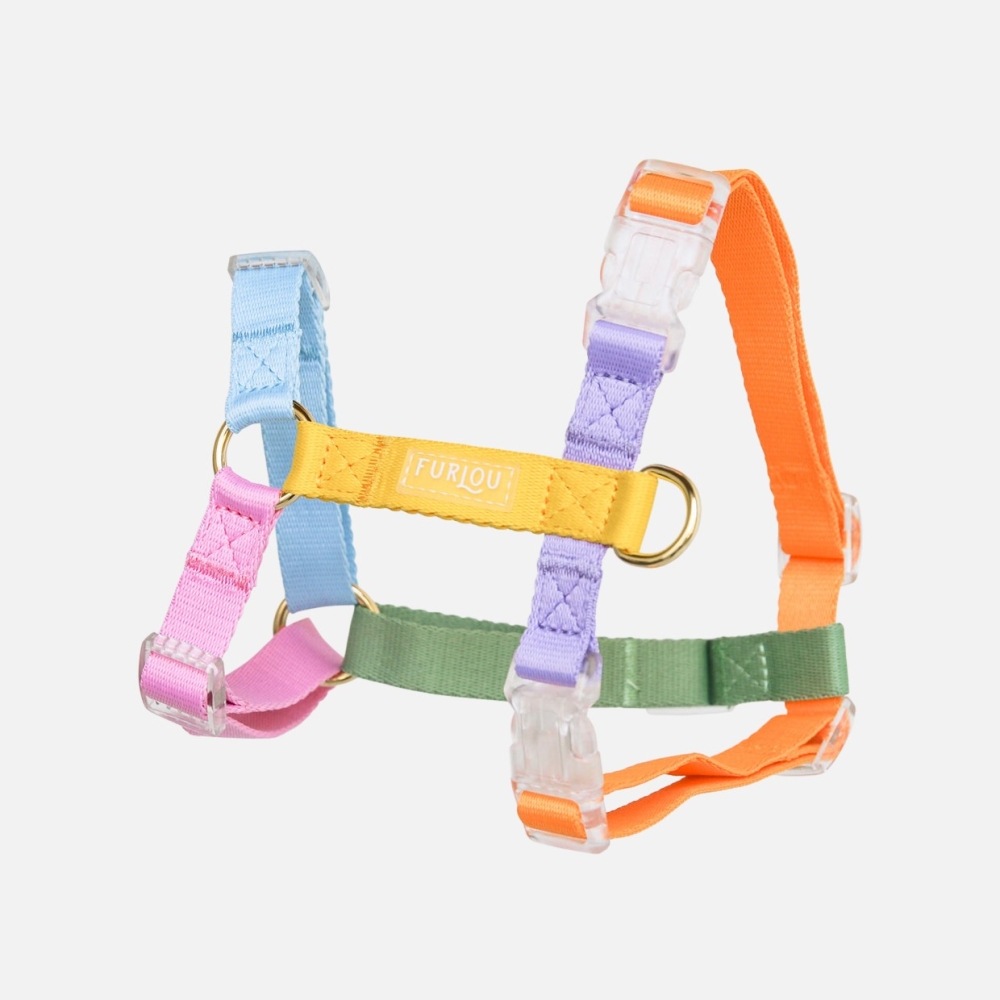 Harnais Furlou - Rainbow Harnais Furlou - Rainbow