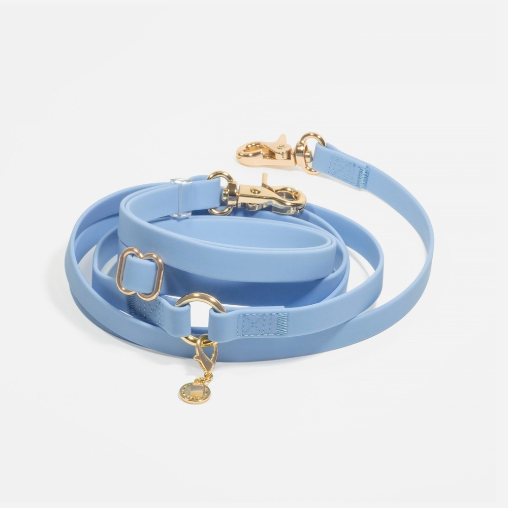 Ensemble Collier Et Laisse Pour Chien/chat - Réglable, Boucle Sécurité Rapide, Noir