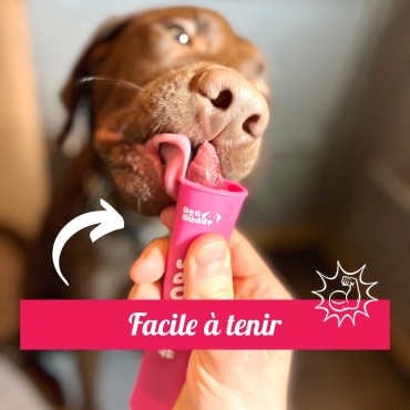 Moule Icepops pour glace maison