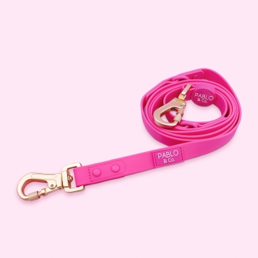 Laisse imperméable et verrouillable Pablo & Co - 2 tailles - Fruit du dragon
