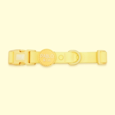 Collier imperméable Pablo & Co - Sorbet citron