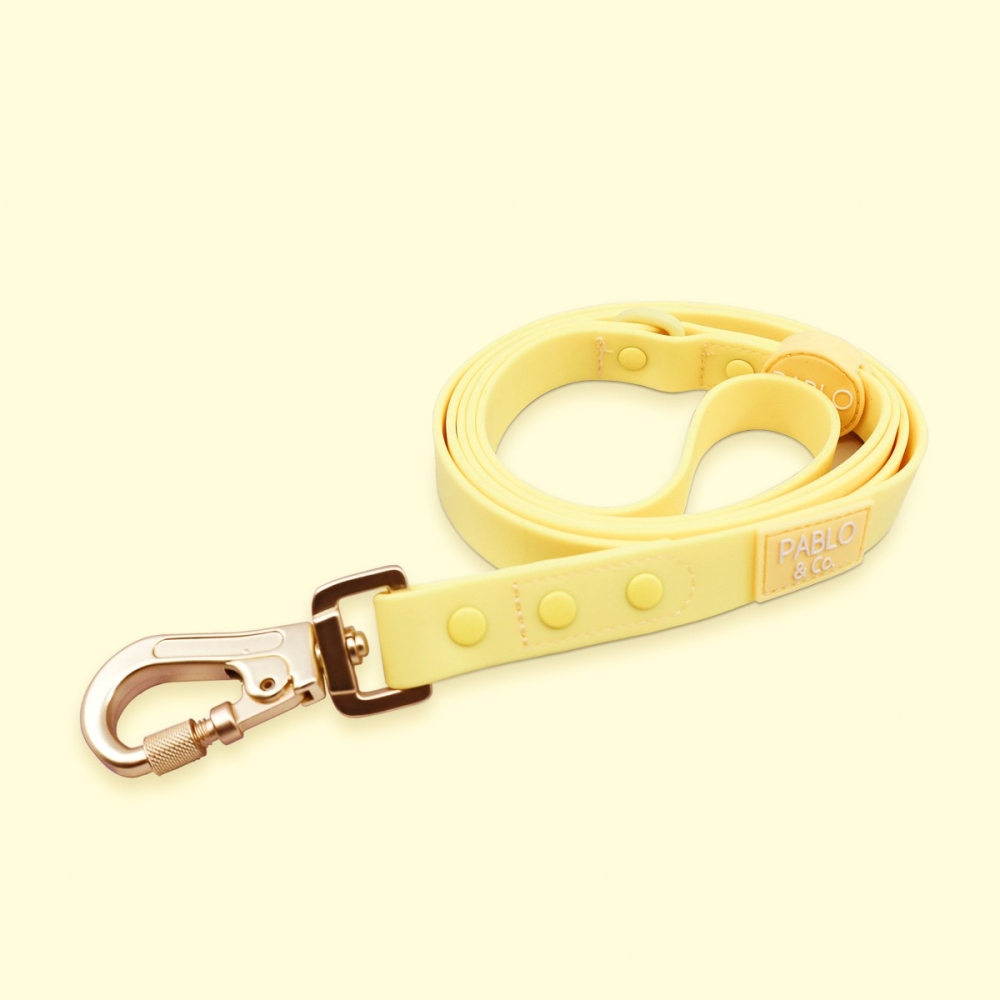 Laisse imperméable et verrouillable Pablo & Co - 2 tailles - Sorbet citron Laisse imperméable et verrouillable Pablo & Co - 2 tailles - Sorbet citron