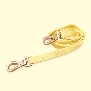 Laisse imperméable et verrouillable Pablo & Co - 2 tailles - Sorbet citron