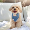 Bandana Nounours pour chien - Shop Sunny Tails