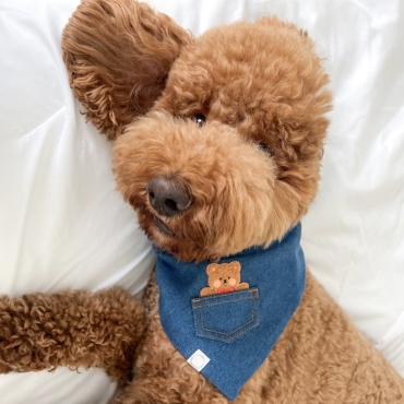 Bandana Nounours pour chien - Shop Sunny Tails