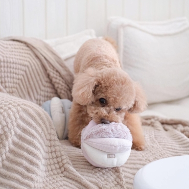 Peluche de fouille Toto rose - Lambwolf Collective