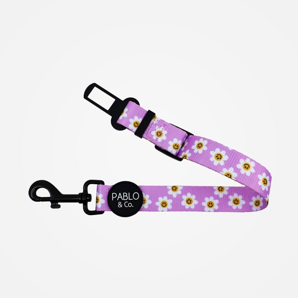 Ceinture de sécurité pour chien Pablo & co - Pâquerettes Ceinture de sécurité pour chien Pablo & co - Pâquerettes