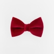 Noeud papillon rouge velours